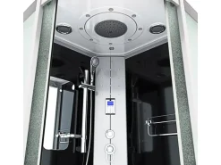 AcquaVapore Dampfdusche Duschtempel Sauna Dusche Duschkabine D46-23M2-EC 100x100