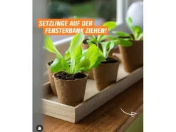 Anzuchttöpfe rund 8 cm Ø 16 Stück