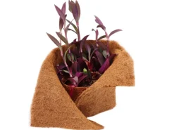 Aquagart 10m Kokosmatte Winterschutz Böschungsmatte Kokosfasermatte 800g/m² 0,25m Breit