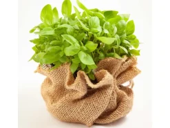 Aquagart 15m x 1m Jutegewebe 105g/m² Jutematte Gartenjute Jute Stoff Sackleinen Juteband