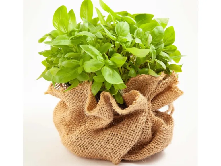 Aquagart 15m x 1m Jutegewebe 105g/m² Jutematte Gartenjute Jute Stoff Sackleinen Juteband
