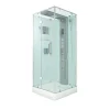 AquaVapore Dampfdusche Duschtempel Sauna Dusche Duschkabine D38-20L3-EC 100x100