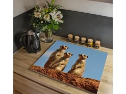 Banjado Herdabdeckplatte Glas 1 Teilig 60x52CM Schneidebrett Herdabdeckung Mit Motiv Erdmännchenfamilie