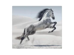 Banjado Herdabdeckplatte Glas 1 Teilig 60x52CM Schneidebrett Herdabdeckung Mit Motiv Wildes Pferd