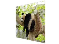 Banjado Herdabdeckplatte Glas 1 Teilig 60x52CM Schneidebrett Herdabdeckung Mit Motiv Panda