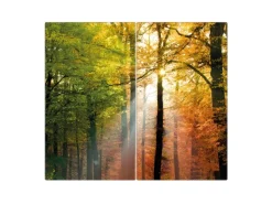 Banjado Herdabdeckplatte Glas 2 Teilig Je 30x52CM Schneidebrett Herdabdeckung Mit Motiv Herbstwald