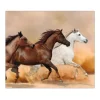 Banjado Herdabdeckplatte Glas 1 Teilig 60x52CM Schneidebrett Herdabdeckung Mit Motiv Wilde Pferde