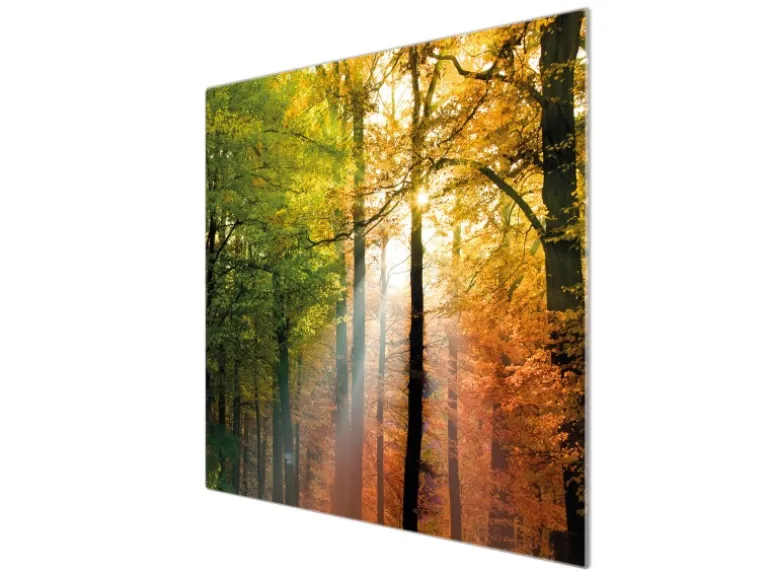 Banjado Herdabdeckplatte Glas 1 Teilig 60x52CM Schneidebrett Herdabdeckung Mit Motiv Herbstwald