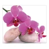 Banjado Herdabdeckplatte Glas 1 Teilig 60x52CM Schneidebrett Herdabdeckung Mit Motiv Orchidee