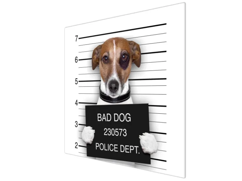Banjado Herdabdeckplatte Glas 1 Teilig 60x52CM Schneidebrett Herdabdeckung Mit Motiv Bad Dog Jack Russel
