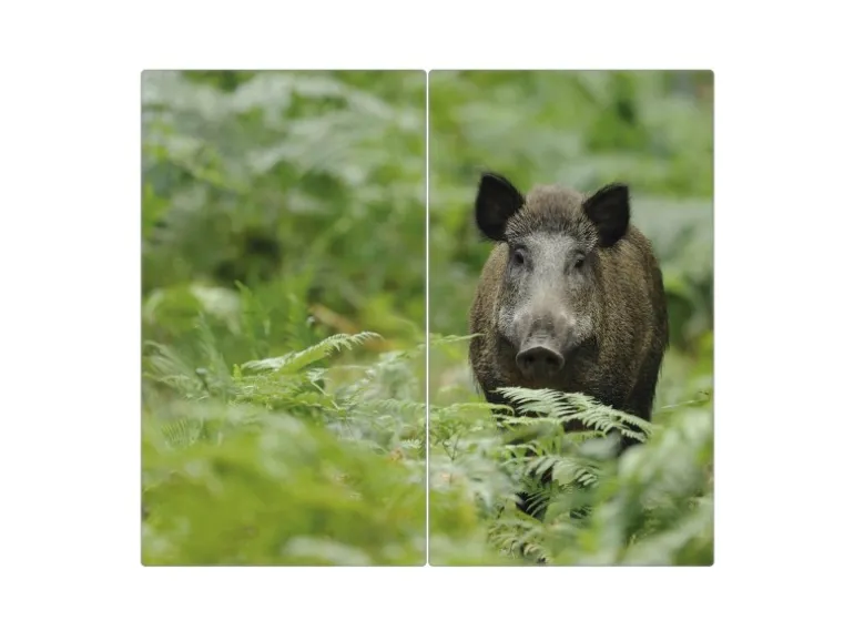 Banjado Herdabdeckplatte Glas 2 Teilig Je 30x52CM Schneidebrett Herdabdeckung Mit Motiv Wildschwein