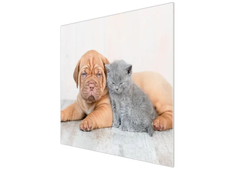 Banjado Herdabdeckplatte Glas 1 Teilig 60x52CM Schneidebrett Herdabdeckung Mit Motiv Hund Und Katze