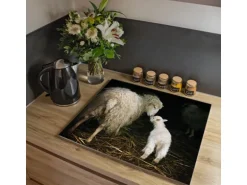 Banjado Herdabdeckplatte Glas 1 Teilig 60x52CM Schneidebrett Herdabdeckung Mit Motiv Schaf Und Lamm