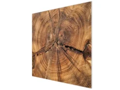 Banjado Herdabdeckplatte Glas 1 Teilig 60x52CM Schneidebrett Herdabdeckung Mit Motiv Jahresringe