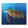 Banjado Herdabdeckplatte Glas 2 Teilig Je 30x52CM Schneidebrett Herdabdeckung Mit Motiv Wasserschildkröte