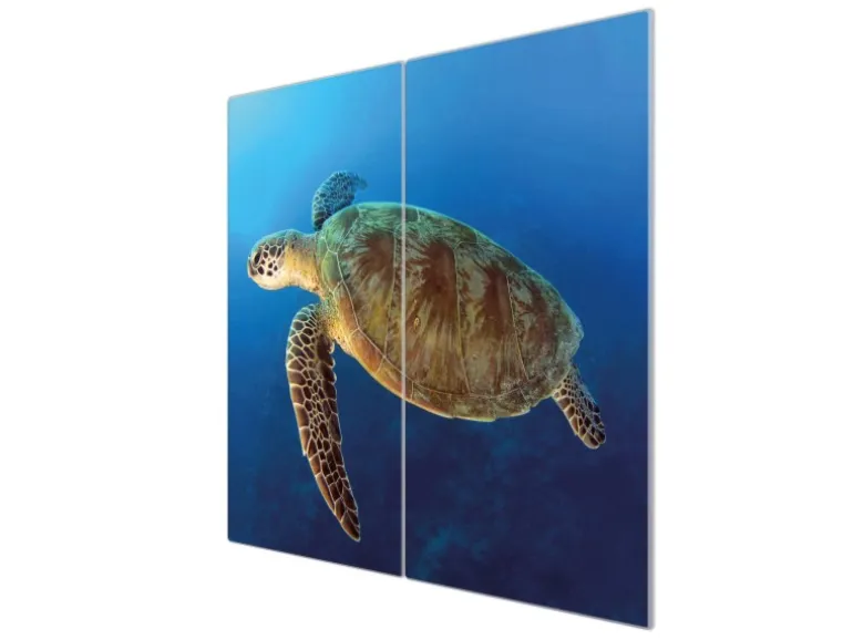 Banjado Herdabdeckplatte Glas 2 Teilig Je 30x52CM Schneidebrett Herdabdeckung Mit Motiv Wasserschildkröte