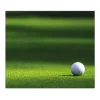 Banjado Herdabdeckplatte Glas 1 Teilig 60x52CM Schneidebrett Herdabdeckung Mit Motiv Einsamer Golfball