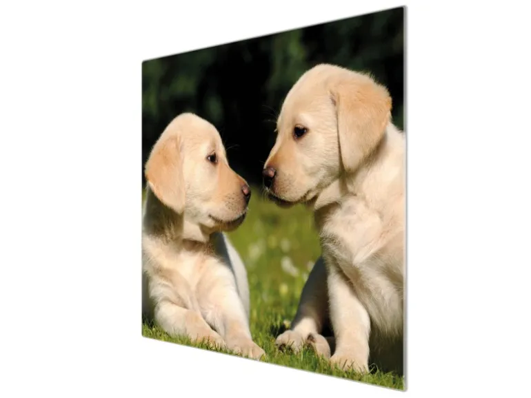 Banjado Herdabdeckplatte Glas 1 Teilig 60x52CM Schneidebrett Herdabdeckung Mit Motiv Labrador
