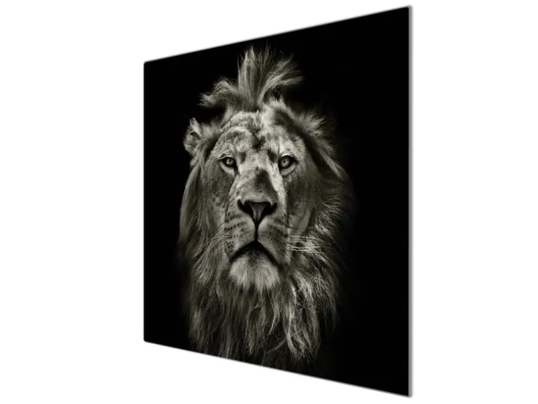Banjado Herdabdeckplatte Glas 1 Teilig 60x52CM Schneidebrett Herdabdeckung Mit Motiv Löwe Porträt