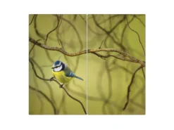 Banjado Herdabdeckplatte Glas 2 Teilig Je 30x52CM Schneidebrett Herdabdeckung Mit Motiv Blaumeise Im Baum