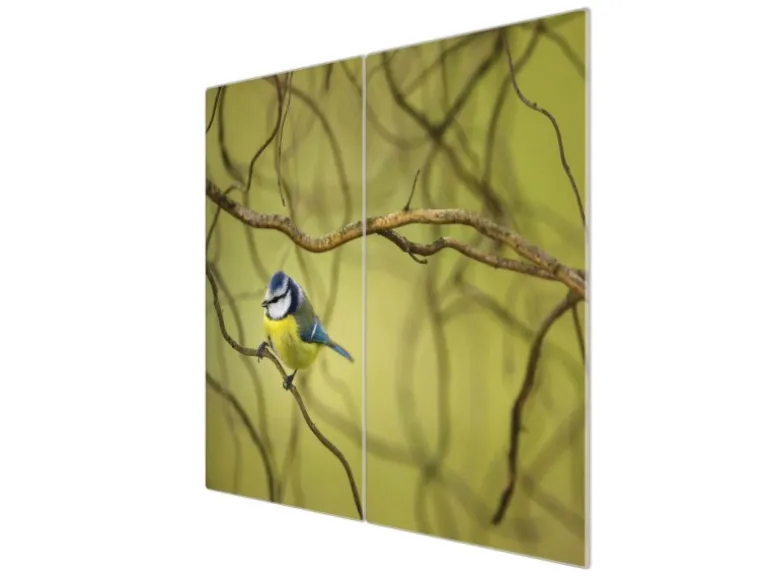 Banjado Herdabdeckplatte Glas 2 Teilig Je 30x52CM Schneidebrett Herdabdeckung Mit Motiv Blaumeise Im Baum