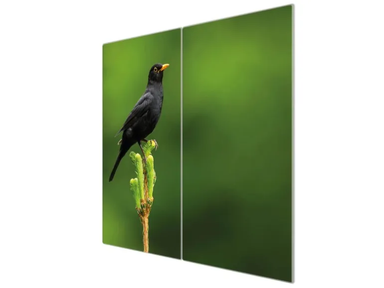 Banjado Herdabdeckplatte Glas 2 Teilig Je 30x52CM Schneidebrett Herdabdeckung Mit Motiv Vogel Auf Tannenzweig