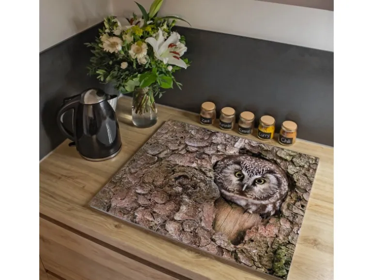 Banjado Herdabdeckplatte Glas 1 Teilig 60x52CM Schneidebrett Herdabdeckung Mit Motiv Eule
