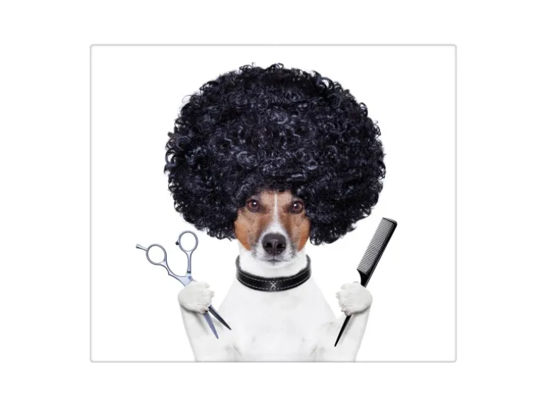 Banjado Herdabdeckplatte Glas 1 Teilig 60x52CM Schneidebrett Herdabdeckung Mit Motiv Friseur Jack Russel