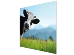 Banjado Herdabdeckplatte Glas 1 Teilig 60x52CM Schneidebrett Herdabdeckung Mit Motiv Neugierig