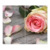 Banjado Herdabdeckplatte Glas 2 Teilig Je 30x52CM Schneidebrett Herdabdeckung Mit Motiv Rosa Rose