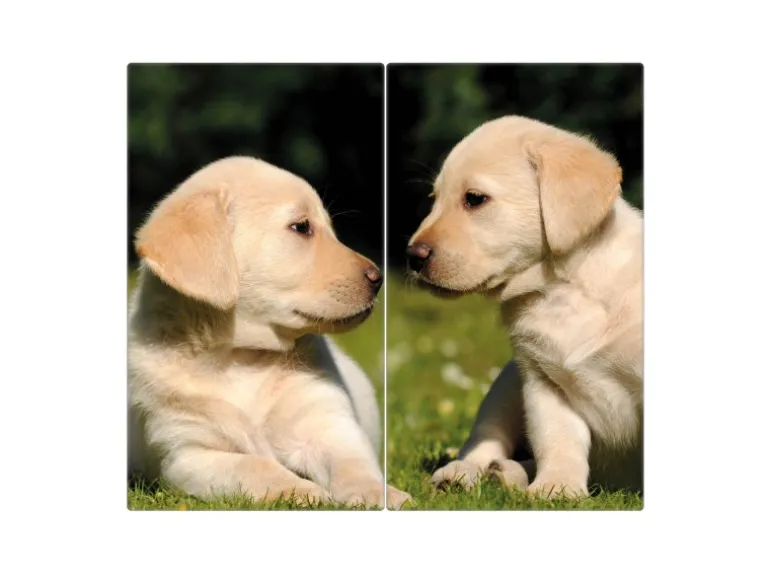 Banjado Herdabdeckplatte Glas 2 Teilig Je 30x52CM Schneidebrett Herdabdeckung Mit Motiv Labrador