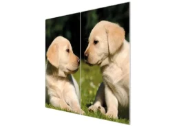 Banjado Herdabdeckplatte Glas 2 Teilig Je 30x52CM Schneidebrett Herdabdeckung Mit Motiv Labrador