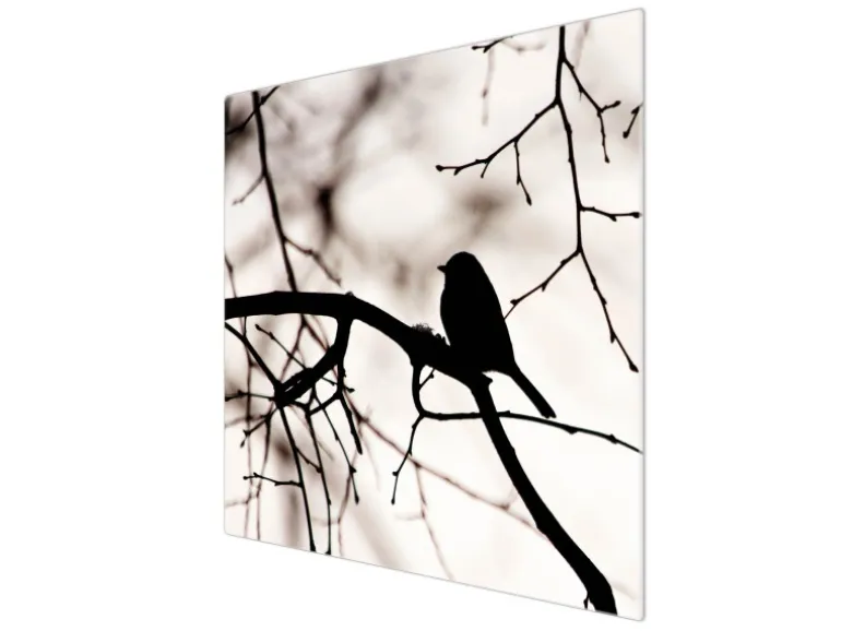 Banjado Herdabdeckplatte Glas 1 Teilig 60x52CM Schneidebrett Herdabdeckung Mit Motiv Früher Vogel