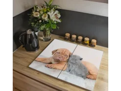 Banjado Herdabdeckplatte Glas 2 Teilig Je 30x52CM Schneidebrett Herdabdeckung Mit Motiv Hund Und Katze
