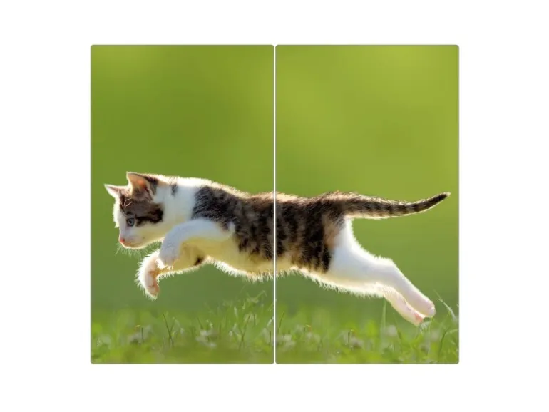 Banjado Herdabdeckplatte Glas 2 Teilig Je 30x52CM Schneidebrett Herdabdeckung Mit Motiv Jagende Katze