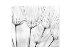 Banjado Herdabdeckplatte Glas 1 Teilig 60x52CM Schneidebrett Herdabdeckung Mit Motiv Pusteblumen Sw