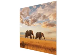 Banjado Herdabdeckplatte Glas 1 Teilig 60x52CM Schneidebrett Herdabdeckung Mit Motiv Elefanten