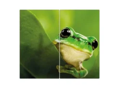 Banjado Herdabdeckplatte Glas 2 Teilig Je 30x52CM Schneidebrett Herdabdeckung Mit Motiv Frosch
