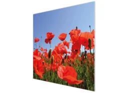 Banjado Herdabdeckplatte Glas 1 Teilig 60x52CM Schneidebrett Herdabdeckung Mit Motiv Mohnblumen