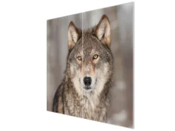 Banjado Herdabdeckplatte Glas 2 Teilig Je 30x52CM Schneidebrett Herdabdeckung Mit Motiv Soraya