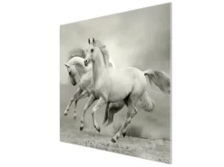 Banjado Herdabdeckplatte Glas 1 Teilig 60x52CM Schneidebrett Herdabdeckung Mit Motiv Wilde Pferde Sw