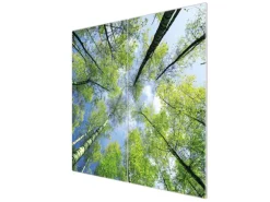 Banjado Herdabdeckplatte Glas 2 Teilig Je 30x52CM Schneidebrett Herdabdeckung Mit Motiv Zwischen Bäumen 3