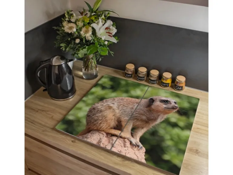Banjado Herdabdeckplatte Glas 2 Teilig Je 30x52CM Schneidebrett Herdabdeckung Mit Motiv Sitzendes Erdmännchen