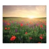 Banjado Herdabdeckplatte Glas 1 Teilig 60x52CM Schneidebrett Herdabdeckung Mit Motiv Sommerfeld