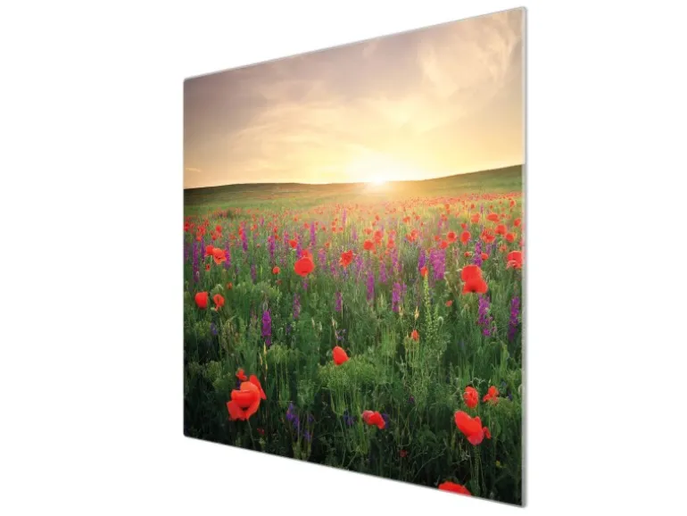 Banjado Herdabdeckplatte Glas 1 Teilig 60x52CM Schneidebrett Herdabdeckung Mit Motiv Sommerfeld