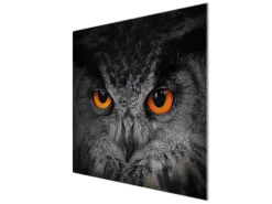 Banjado Herdabdeckplatte Glas 1 Teilig 60x52CM Schneidebrett Herdabdeckung Mit Motiv Uhu