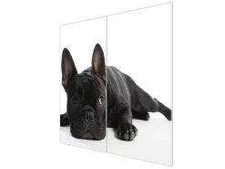 Banjado Herdabdeckplatte Glas 2 Teilig Je 30x52CM Schneidebrett Herdabdeckung Mit Motiv Bulldogge