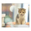 Banjado Herdabdeckplatte Glas 1 Teilig 60x52CM Schneidebrett Herdabdeckung Mit Motiv Kleine Katze