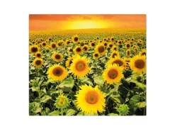 Banjado Herdabdeckplatte Glas 1 Teilig 60x52CM Schneidebrett Herdabdeckung Mit Motiv Sonnenblumenmeer