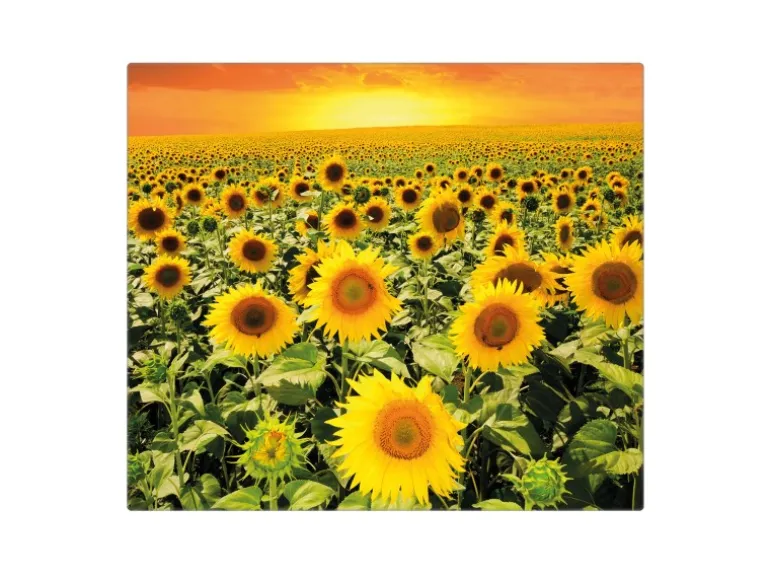 Banjado Herdabdeckplatte Glas 1 Teilig 60x52CM Schneidebrett Herdabdeckung Mit Motiv Sonnenblumenmeer